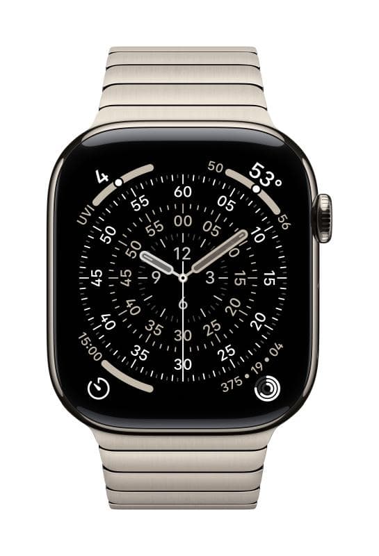 Apple Watch 46mm Natural Link Bracelet