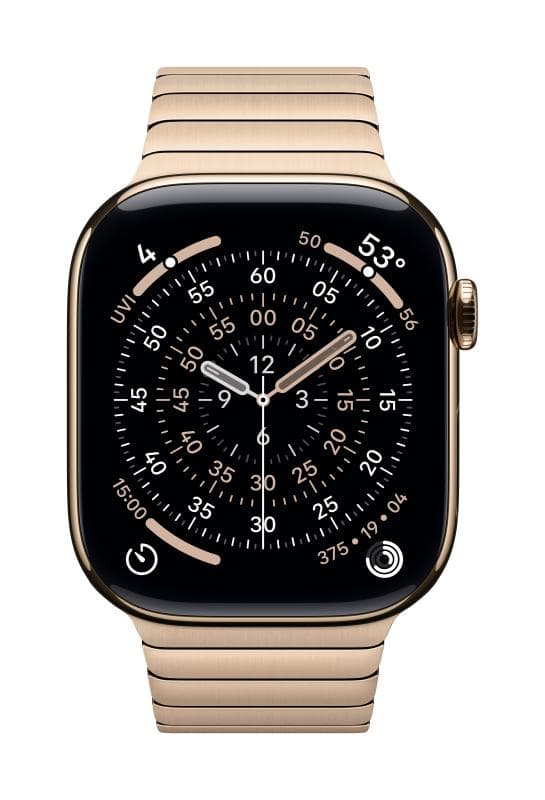 Apple Watch 46mm Gold Link Bracelet