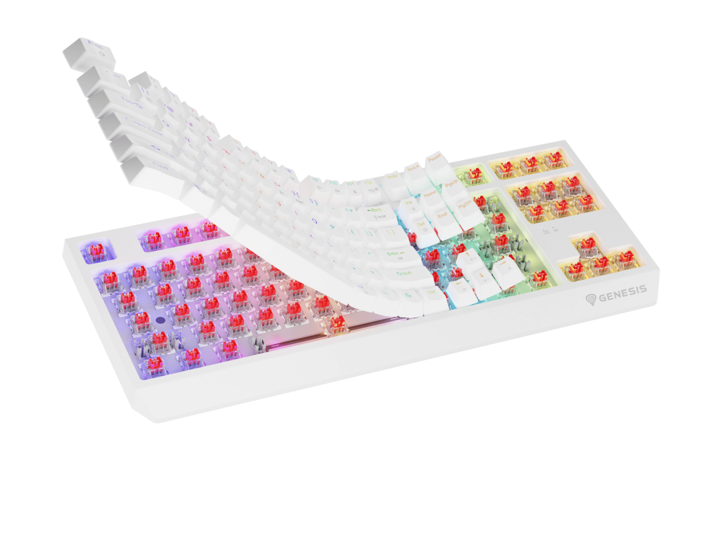 Tastatura gaming mecanica wireless Genesis Thor 230 TKL, iluminare RGB, - 10