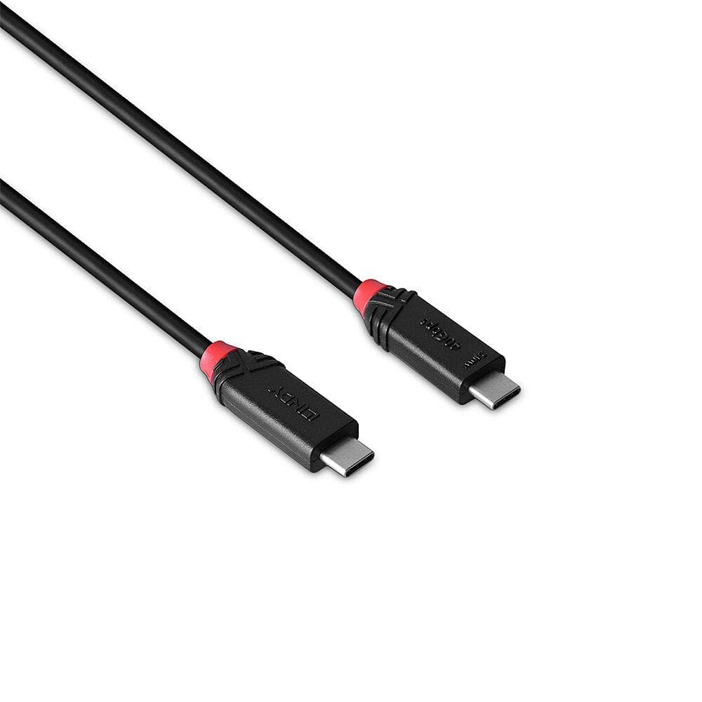 Cablu Lindy 2m USB4 240W Type C, 40 Gbps, Black - 4