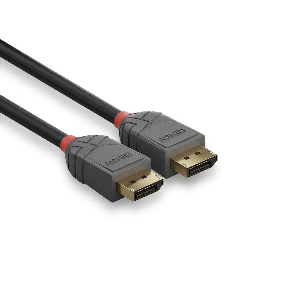 Cablu Lindy LY-36483, DisplayPort 1.2 Cable, Anthra Line - 2