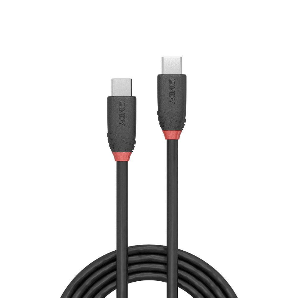 Cablu Lindy 1m USB 3.2 Type C to C, material - 2