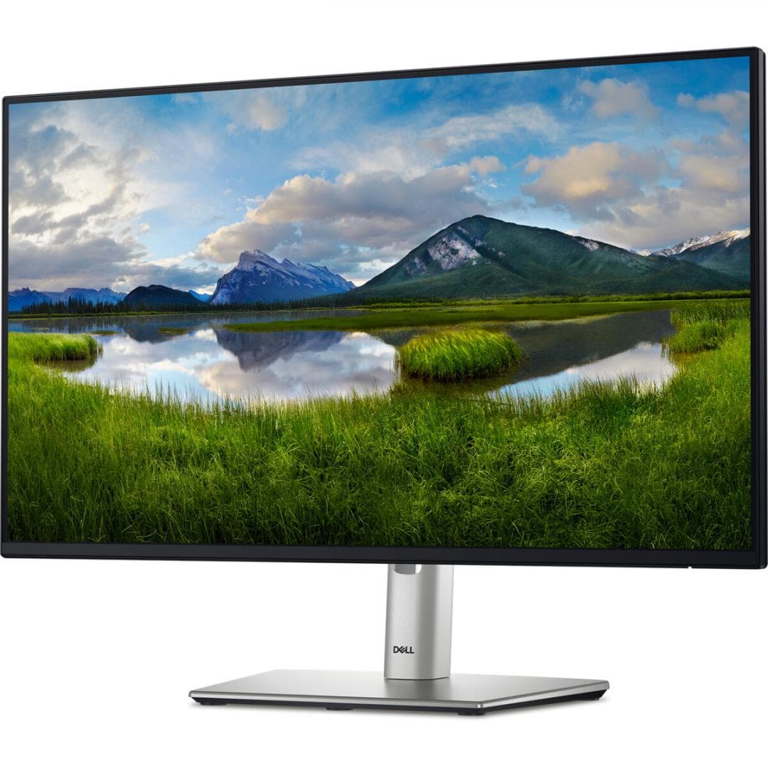 Monitor Dell 23.8" P2425H FHD 60.47cm, 100Hz, 5Ms - 2