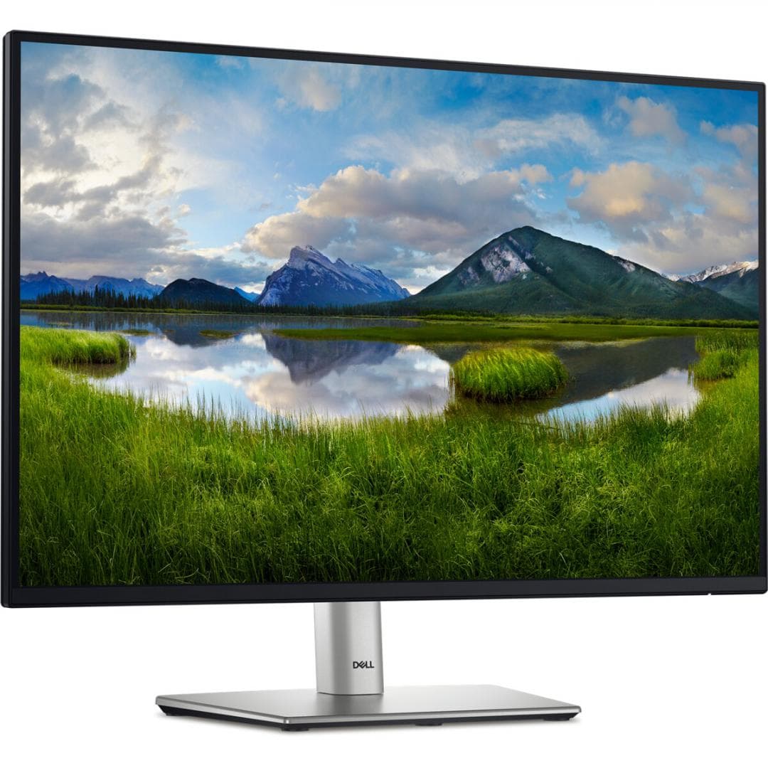 Monitor Dell 24" P2425 WUXGA 61.13 CM, 100Hz, 5Ms - 11