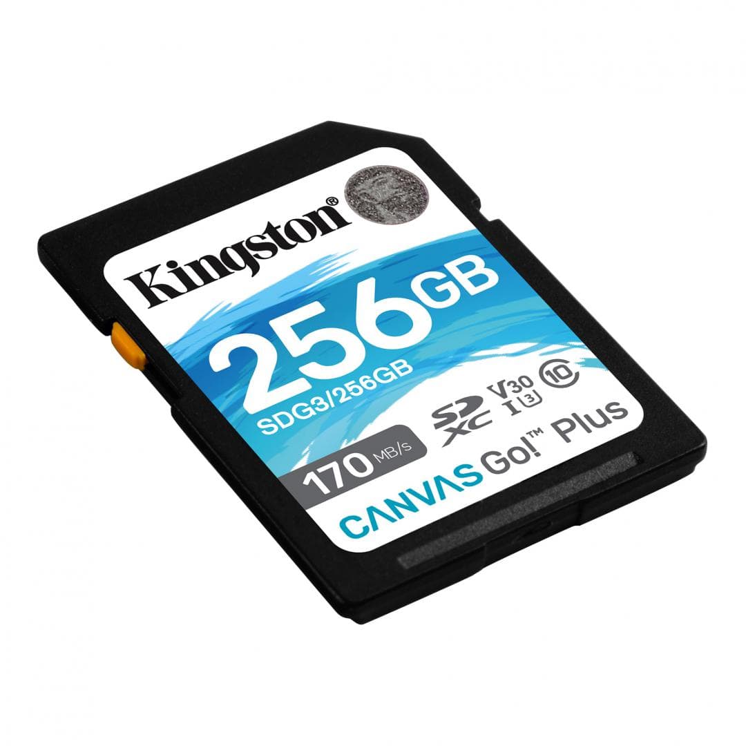 Card de Memorie SDXC Kingston Canvas GO Plus, 256GB, Class - 2