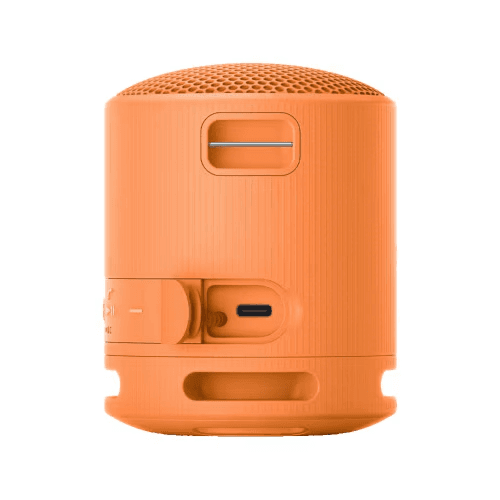Boxa portabila SONY SRS-XB100D, Bluetooth v5.3, Fast-Pair, Clasificare IP67, Autonomie - 3