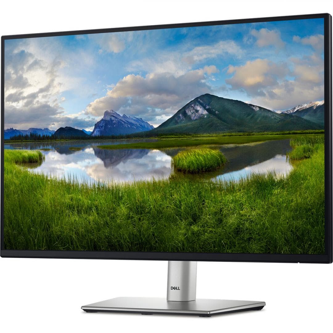 Monitor Dell 24" P2425E WUXGA 61.13 CM, 100 Hz, 5Ms - 2