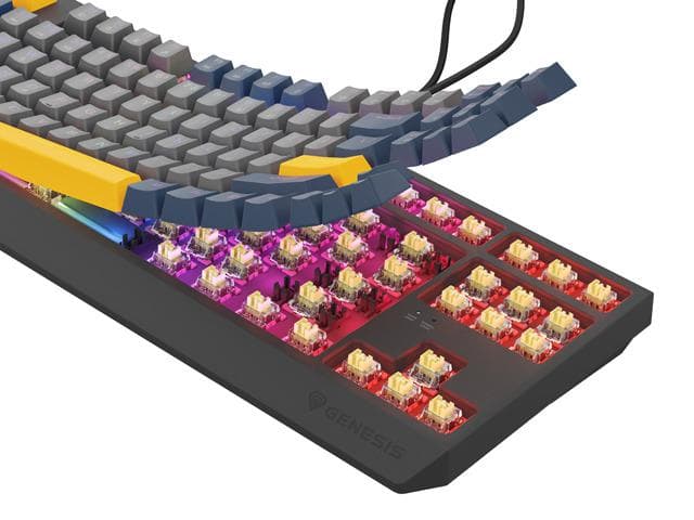 Tastatura gaming mecanica cu fir Genesis Thor 230 TKL, iluminare - 6