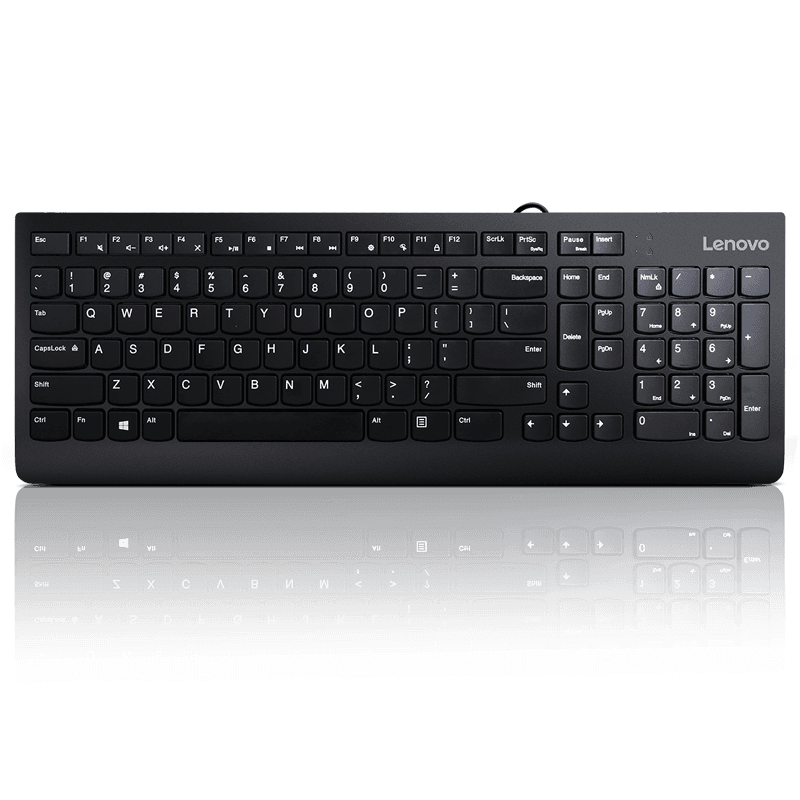 Lenovo 300 USB Keyboard - US English, Tip: Standard, Interfata