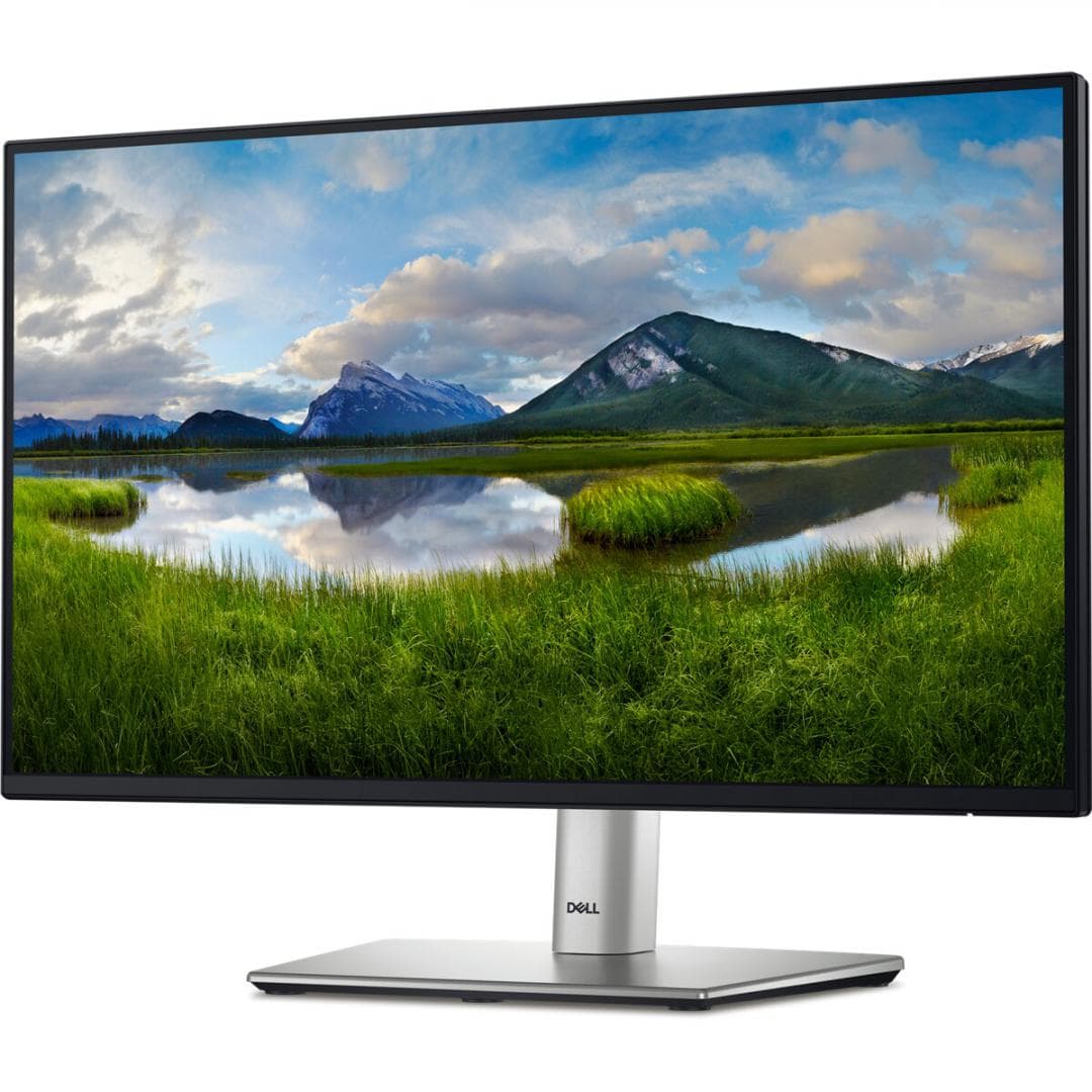 Monitor Dell 21.5" P2225H FHD 54.62 cm, 100Hz, 5Ms - 2