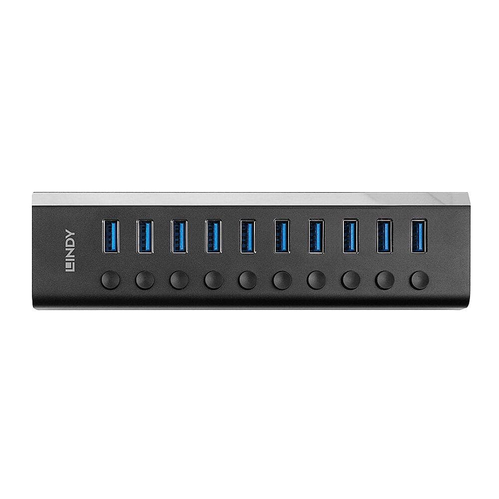 Hub Lindy cu 10 porturi USB, cu buton On/Off, - 3