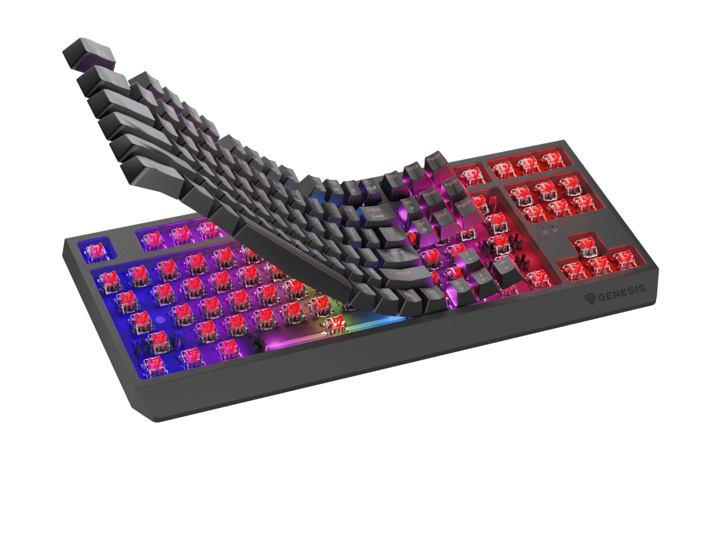 Tastatura gaming mecanica wireless Genesis Thor 230 TKL, iluminare RGB, - 4