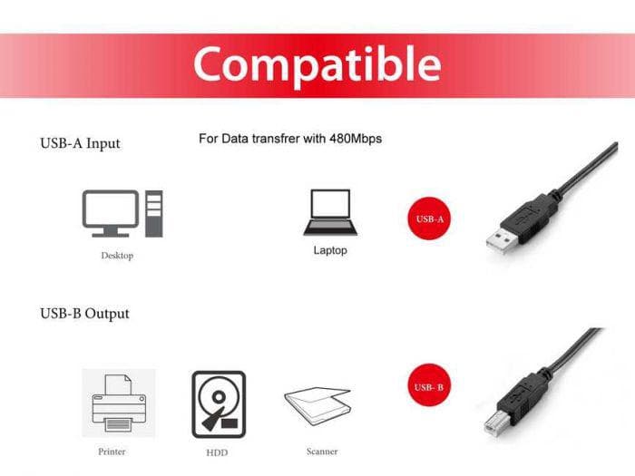 EQUIP 128860 USB 2.0 Type A to Type B Cable, - 4
