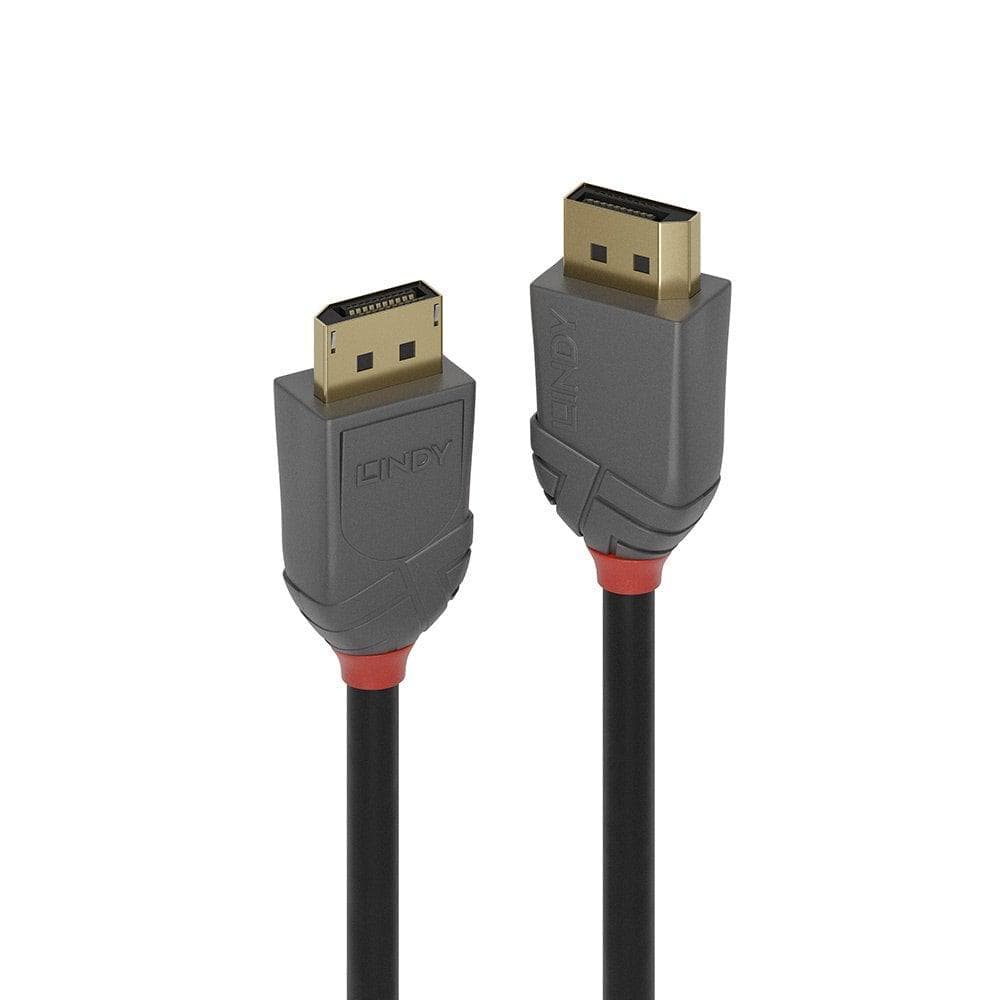Cablu Lindy LY-36484, DisplayPort 1.2 Cable, Anthra Line - 2