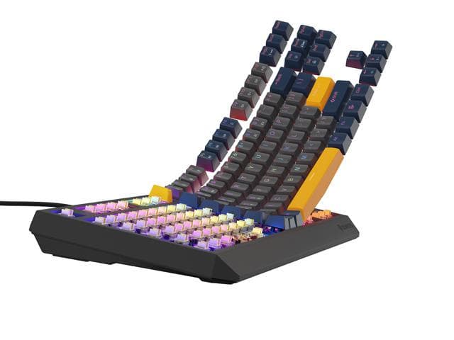 Tastatura gaming mecanica cu fir Genesis Thor 230 TKL, iluminare - 4