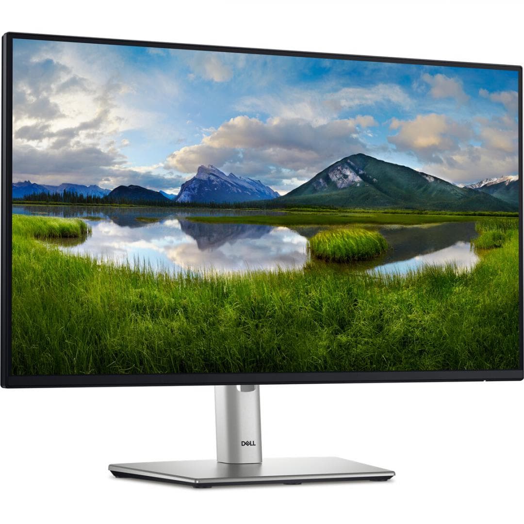 Monitor Dell 23.8" P2425H FHD 60.47cm, 100Hz, 5Ms - 3