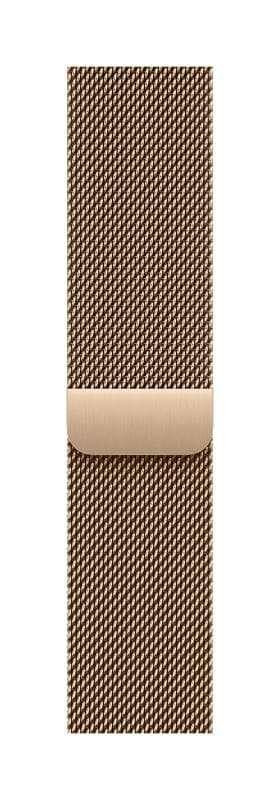 Apple Watch 40mm Gold Milanese Loop